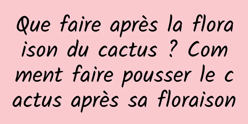 Que faire après la floraison du cactus ? Comment faire pousser le cactus après sa floraison