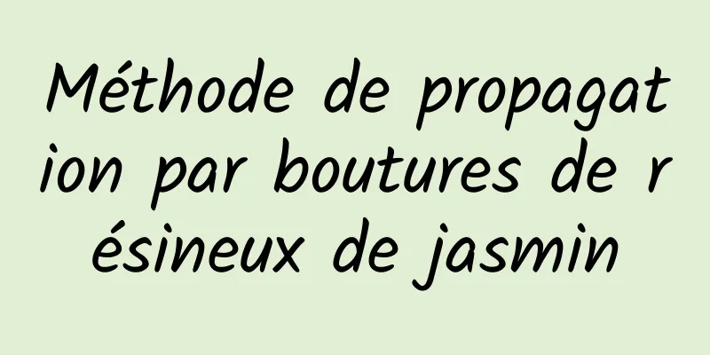 Méthode de propagation par boutures de résineux de jasmin