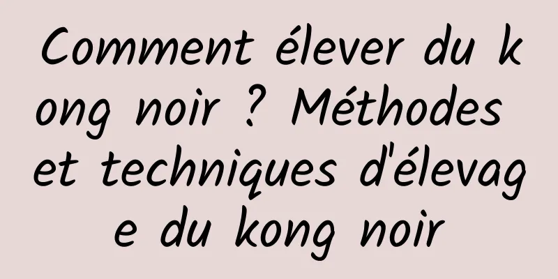 Comment élever du kong noir ? Méthodes et techniques d'élevage du kong noir