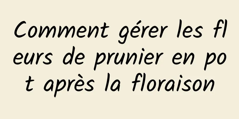 Comment gérer les fleurs de prunier en pot après la floraison