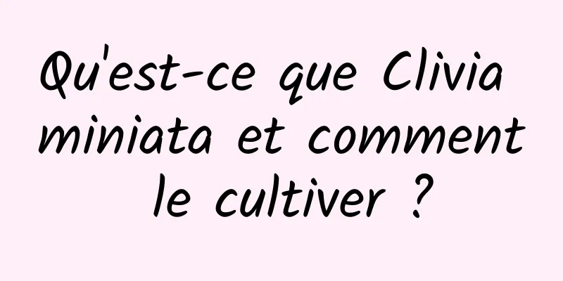 Qu'est-ce que Clivia miniata et comment le cultiver ?