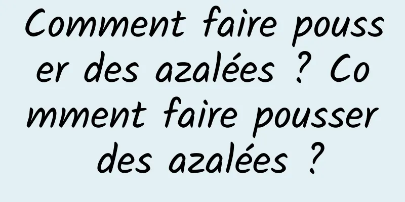 Comment faire pousser des azalées ? Comment faire pousser des azalées ?