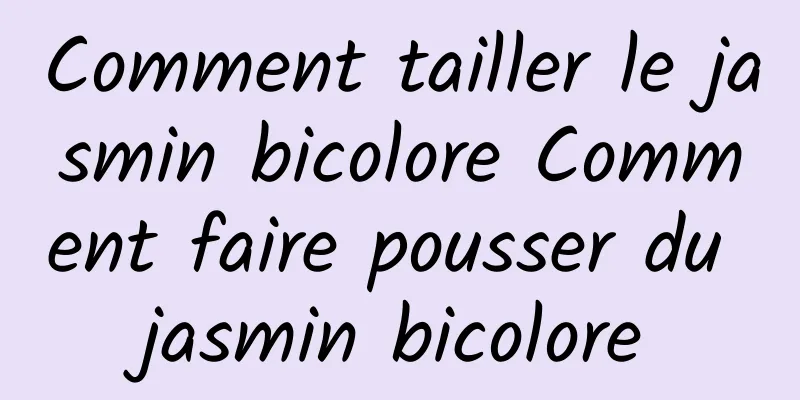 Comment tailler le jasmin bicolore Comment faire pousser du jasmin bicolore