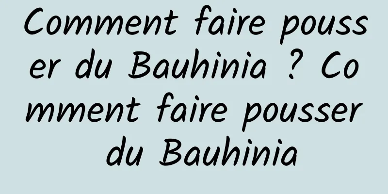 Comment faire pousser du Bauhinia ? Comment faire pousser du Bauhinia