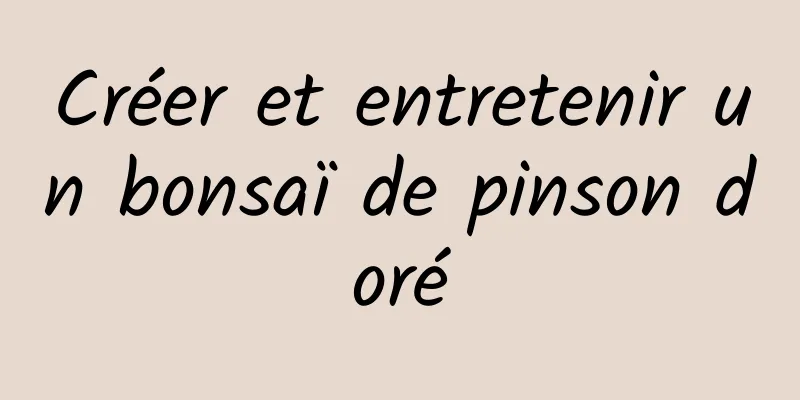 Créer et entretenir un bonsaï de pinson doré