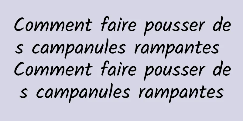 Comment faire pousser des campanules rampantes Comment faire pousser des campanules rampantes