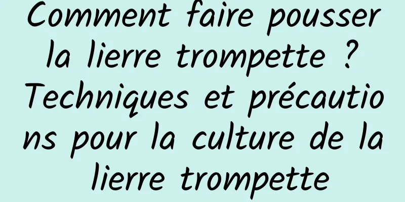 Comment faire pousser la lierre trompette ? Techniques et précautions pour la culture de la lierre trompette