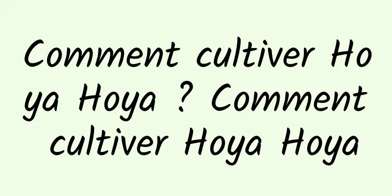 Comment cultiver Hoya Hoya ? Comment cultiver Hoya Hoya