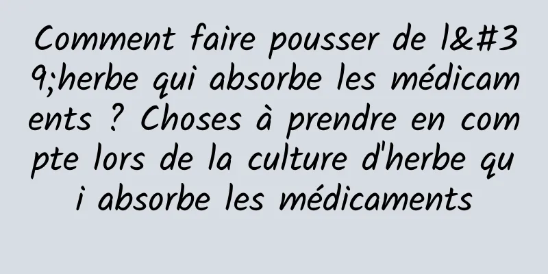 Comment faire pousser de l'herbe qui absorbe les médicaments ? Choses à prendre en compte lors de la culture d'herbe qui absorbe les médicaments