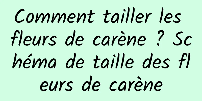 Comment tailler les fleurs de carène ? Schéma de taille des fleurs de carène