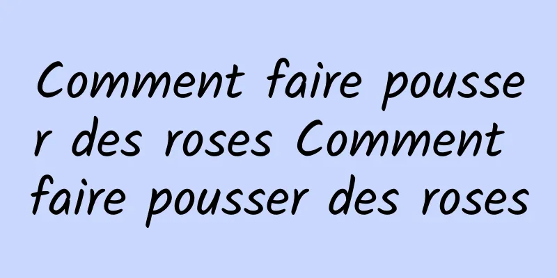 Comment faire pousser des roses Comment faire pousser des roses