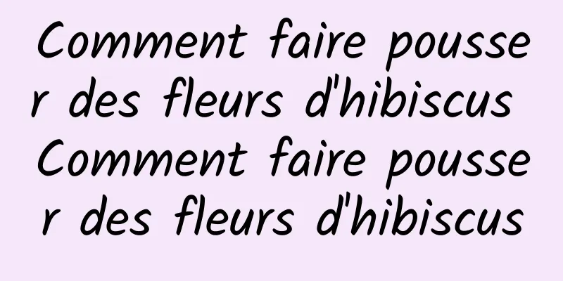 Comment faire pousser des fleurs d'hibiscus Comment faire pousser des fleurs d'hibiscus