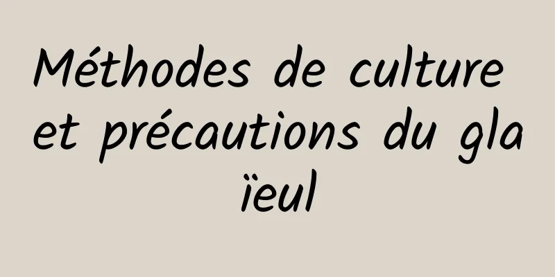 Méthodes de culture et précautions du glaïeul