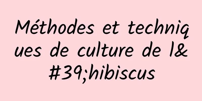 Méthodes et techniques de culture de l'hibiscus