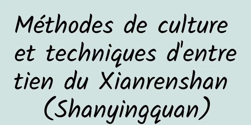 Méthodes de culture et techniques d'entretien du Xianrenshan (Shanyingquan)