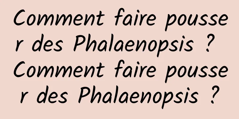 Comment faire pousser des Phalaenopsis ? Comment faire pousser des Phalaenopsis ?