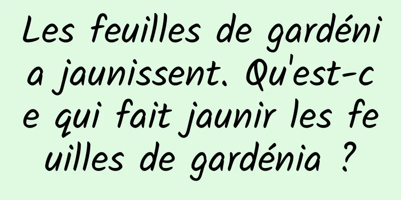 Les feuilles de gardénia jaunissent. Qu'est-ce qui fait jaunir les feuilles de gardénia ?