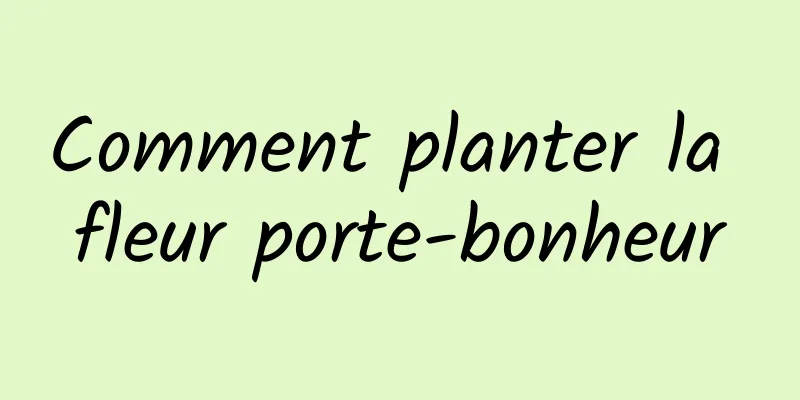 Comment planter la fleur porte-bonheur