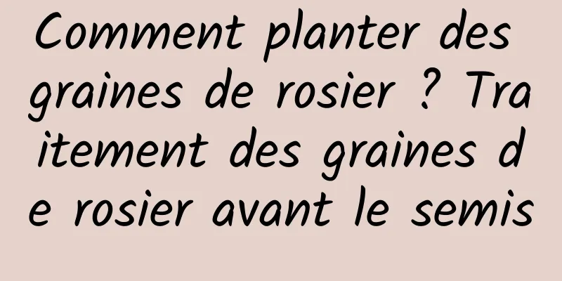 Comment planter des graines de rosier ? Traitement des graines de rosier avant le semis