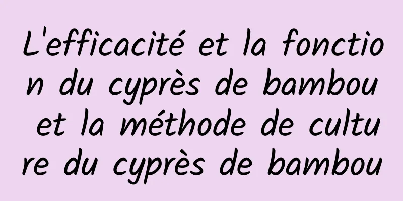 L'efficacité et la fonction du cyprès de bambou et la méthode de culture du cyprès de bambou