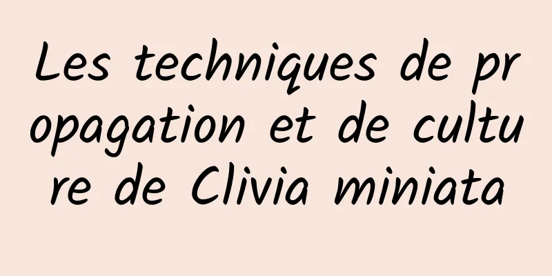 Les techniques de propagation et de culture de Clivia miniata