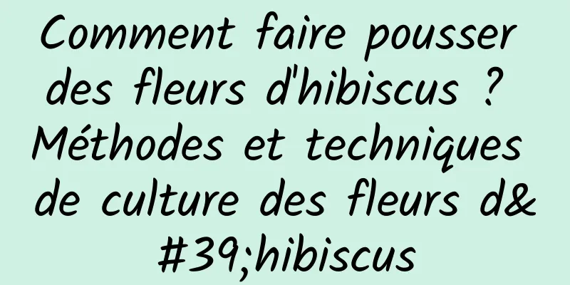 Comment faire pousser des fleurs d'hibiscus ? Méthodes et techniques de culture des fleurs d'hibiscus