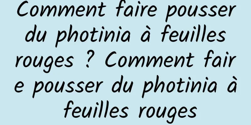 Comment faire pousser du photinia à feuilles rouges ? Comment faire pousser du photinia à feuilles rouges