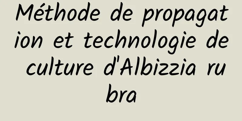 Méthode de propagation et technologie de culture d'Albizzia rubra