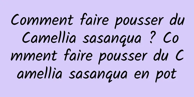 Comment faire pousser du Camellia sasanqua ? Comment faire pousser du Camellia sasanqua en pot