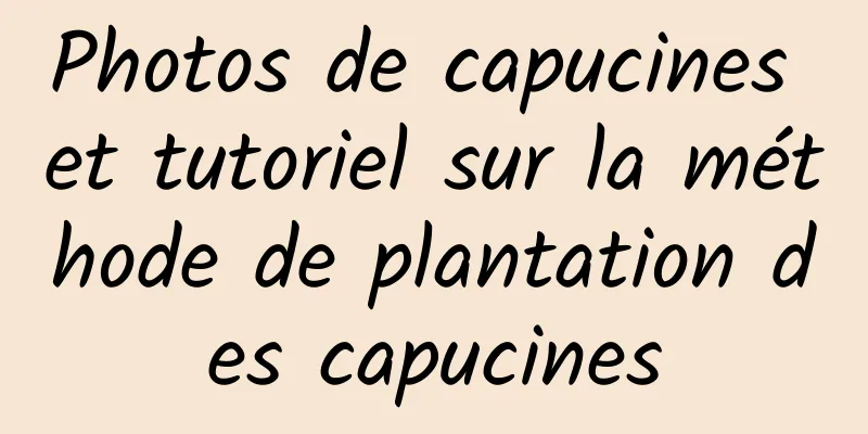 Photos de capucines et tutoriel sur la méthode de plantation des capucines