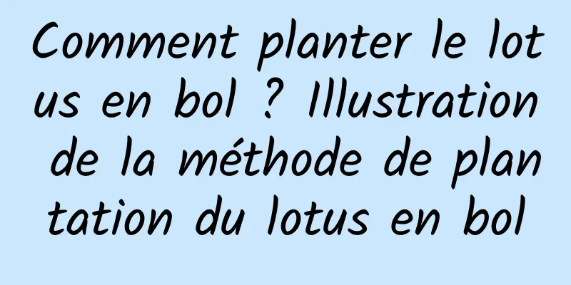 Comment planter le lotus en bol ? Illustration de la méthode de plantation du lotus en bol