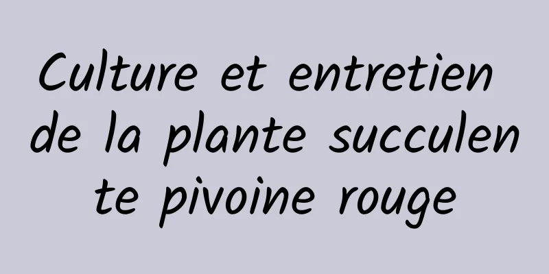 Culture et entretien de la plante succulente pivoine rouge