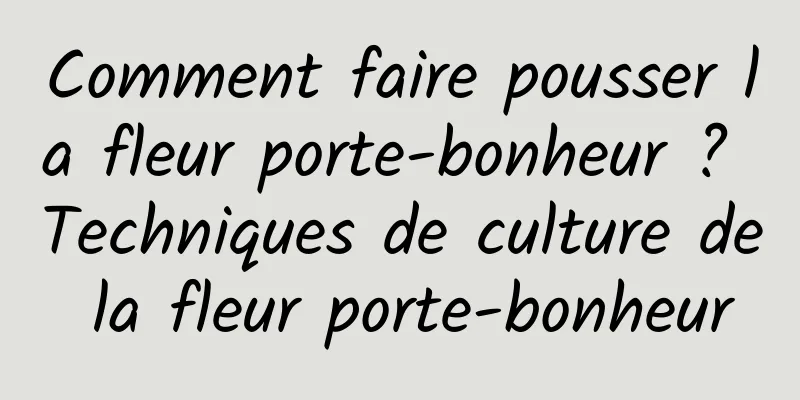 Comment faire pousser la fleur porte-bonheur ? Techniques de culture de la fleur porte-bonheur