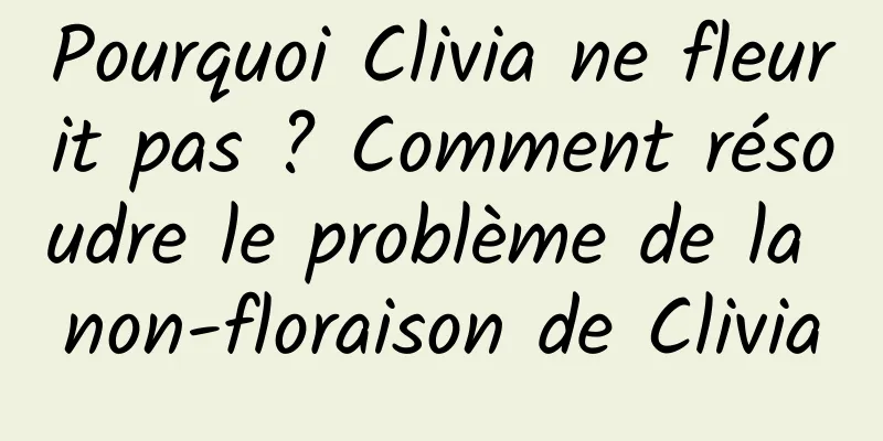 Pourquoi Clivia ne fleurit pas ? Comment résoudre le problème de la non-floraison de Clivia