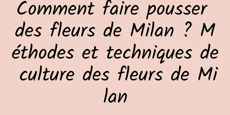 Comment faire pousser des fleurs de Milan ? Méthodes et techniques de culture des fleurs de Milan