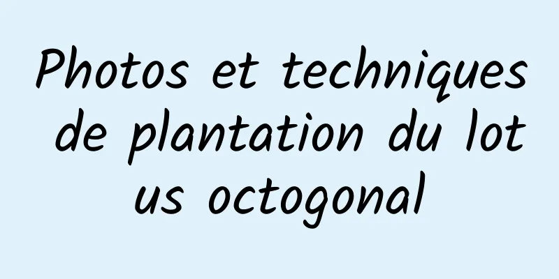 Photos et techniques de plantation du lotus octogonal