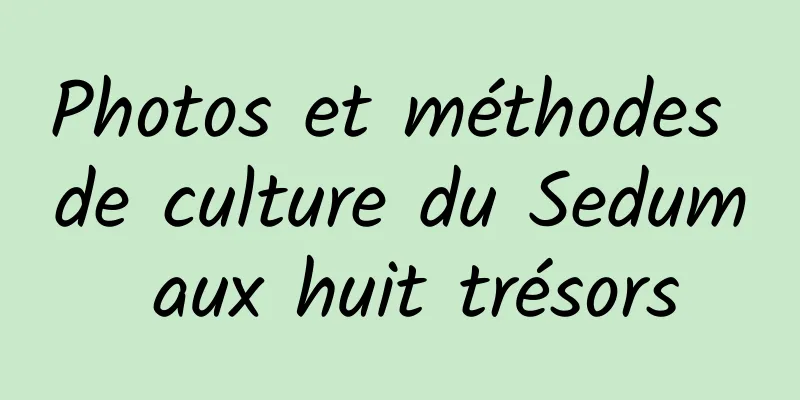 Photos et méthodes de culture du Sedum aux huit trésors