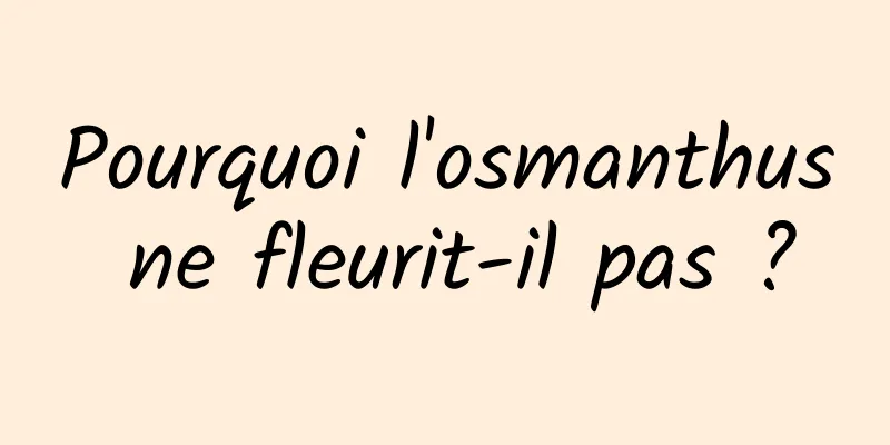 Pourquoi l'osmanthus ne fleurit-il pas ?