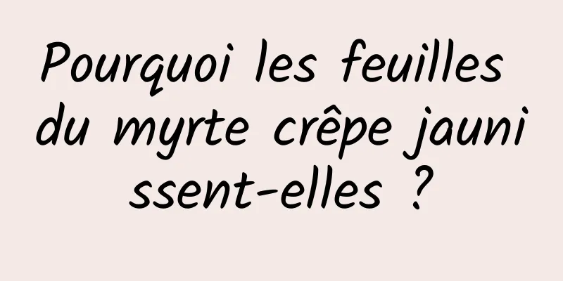 Pourquoi les feuilles du myrte crêpe jaunissent-elles ?