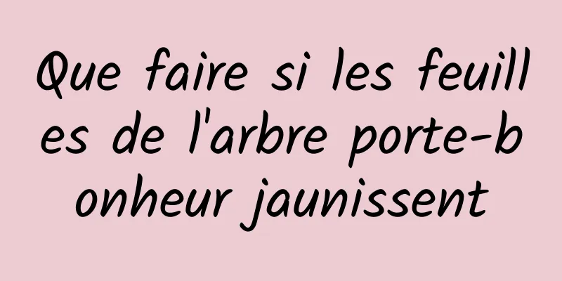 Que faire si les feuilles de l'arbre porte-bonheur jaunissent