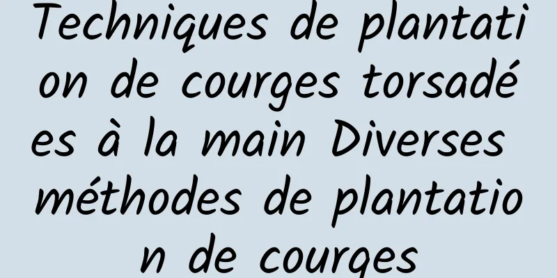 Techniques de plantation de courges torsadées à la main Diverses méthodes de plantation de courges