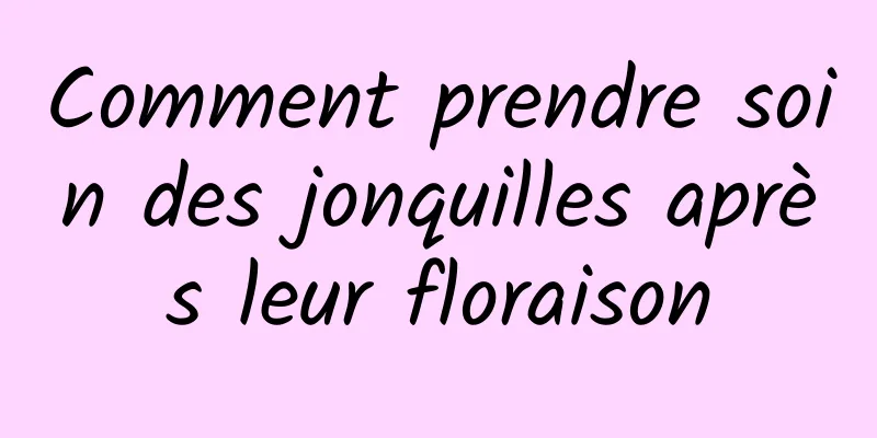 Comment prendre soin des jonquilles après leur floraison