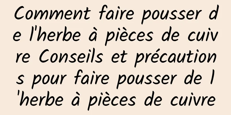 Comment faire pousser de l'herbe à pièces de cuivre Conseils et précautions pour faire pousser de l'herbe à pièces de cuivre