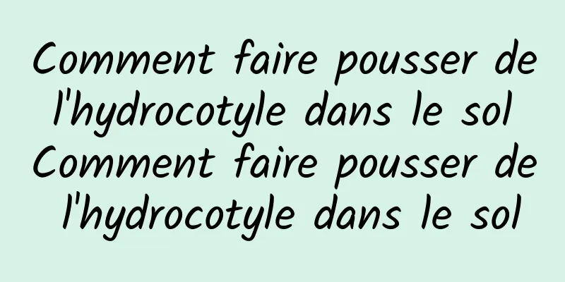 Comment faire pousser de l'hydrocotyle dans le sol Comment faire pousser de l'hydrocotyle dans le sol