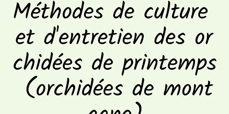 Méthodes de culture et d'entretien des orchidées de printemps (orchidées de montagne)