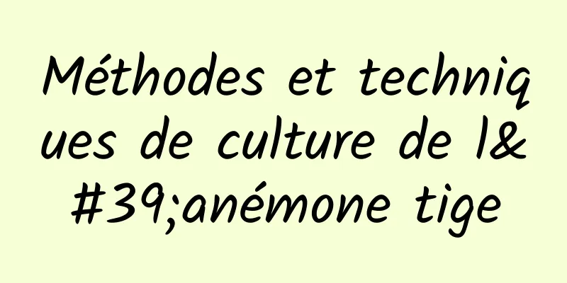 Méthodes et techniques de culture de l'anémone tige