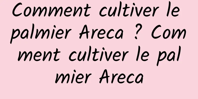 Comment cultiver le palmier Areca ? Comment cultiver le palmier Areca