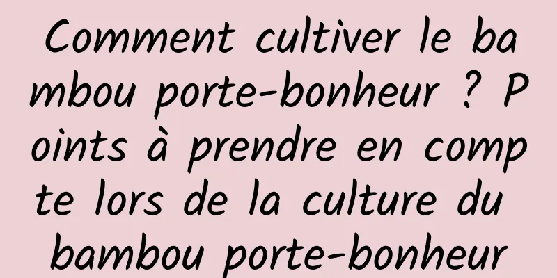 Comment cultiver le bambou porte-bonheur ? Points à prendre en compte lors de la culture du bambou porte-bonheur