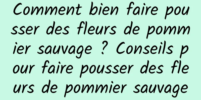 Comment bien faire pousser des fleurs de pommier sauvage ? Conseils pour faire pousser des fleurs de pommier sauvage