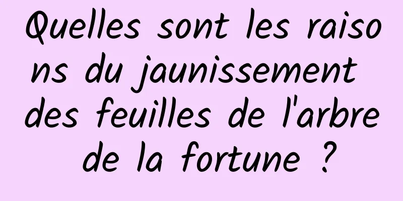 Quelles sont les raisons du jaunissement des feuilles de l'arbre de la fortune ?